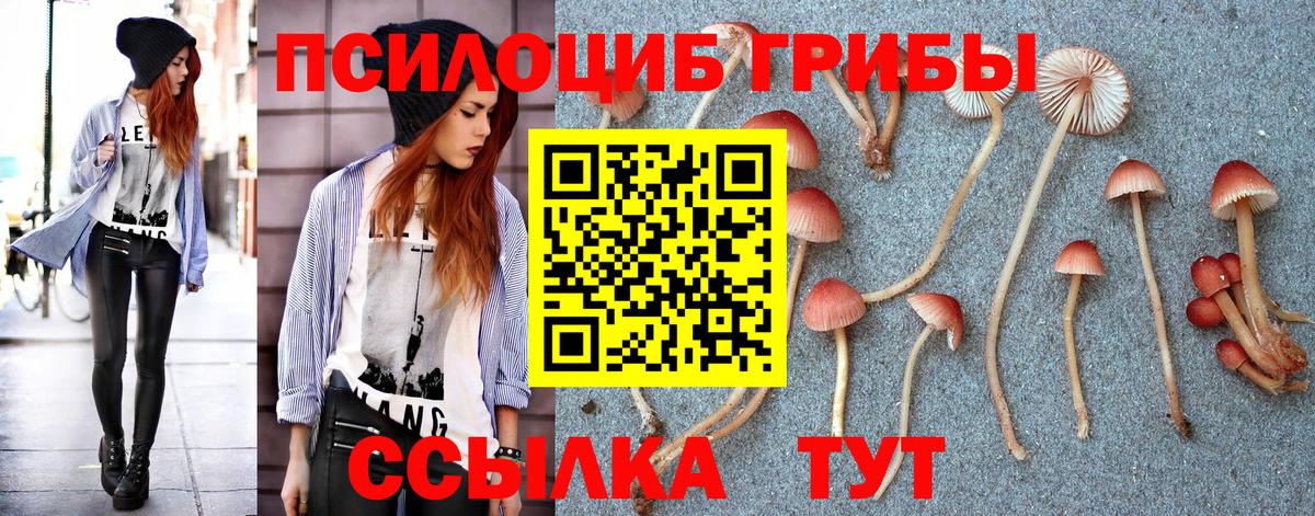 Галлюциногенные грибы Magic Shrooms Верхняя Пышма