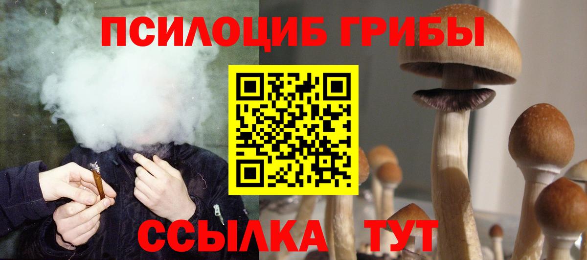 Псилоцибиновые грибы ЛСД  купить  сайты  Верхняя Пышма  Галлюциногенные грибы Psilocybe  Вход с VPN 
